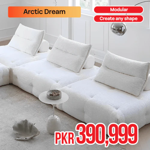 Arctic Dream